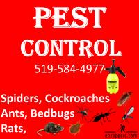 enzappers Pest Control Services image 3